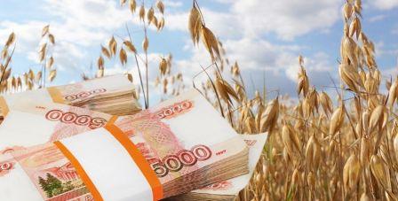 Read more about the article Корней Биждов: «На российском рынке страхования сельхозрисков достигнут максимальный показатель страховых выплат»