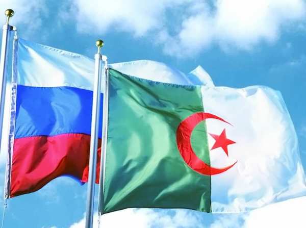 Read more about the article Рынок Алжира открыт для российского мяса птицы
