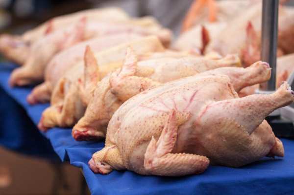 Read more about the article Решения об обнулении импортных пошлин на отдельные виды мяса кур прорабатывает Минсельхоз