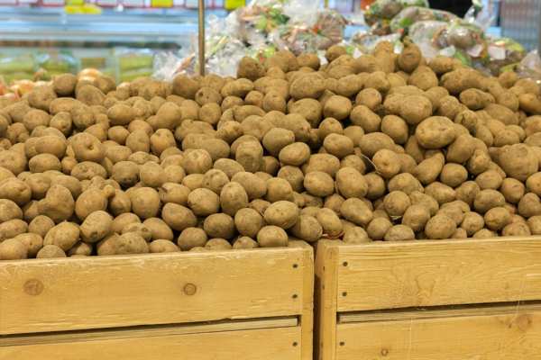 Read more about the article Отечественные производители картофеля снизили цены на 23,5%